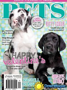 Pets AU - February 2016