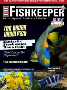 The Fishkeeper - 07/08 2019