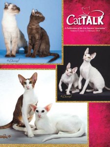 Cat Talk - 02.2018