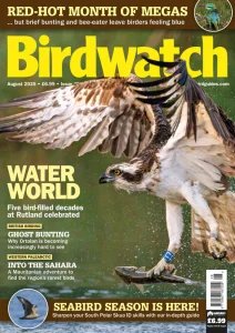 Birdwatch UK - 08.2025