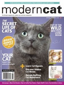 Modern Cat CA - Summer 2023