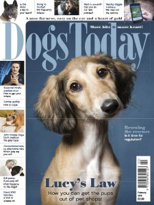 Dogs Today UK - 02.2018