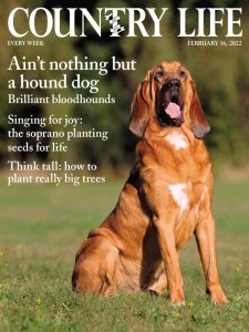 Country Life UK - 02.16.2022