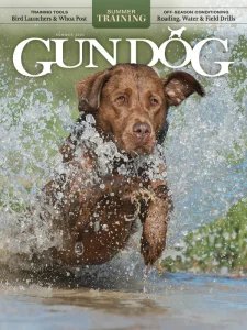Gun Dog - Summer 2025