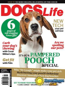 Dogs Life - November/December 2014