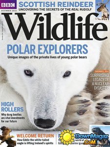 BBC Wildlife - 12.2016