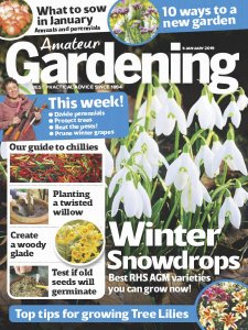 Amateur Gardening - 5.01.2019