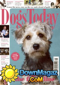 Dogs Today UK - 09.2017