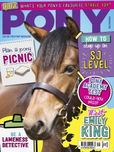 Pony - 09.2018