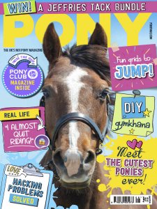 Pony - 08.2018