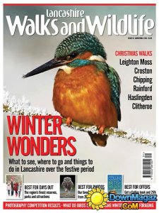Lancashire Walks and Wildlife - Christmas 2013