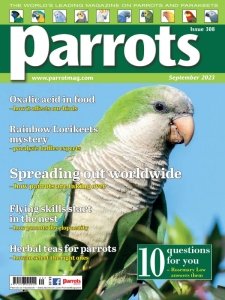 Parrots - 09.2023