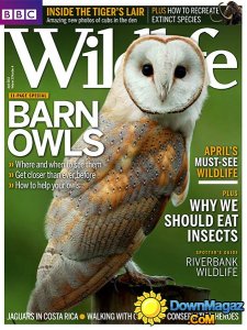 BBC Wildlife - April 2013