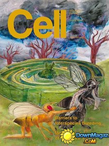 Cell - 3 July 2013