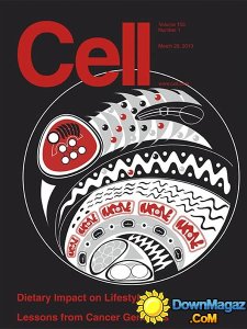 Cell - 28 March 2013