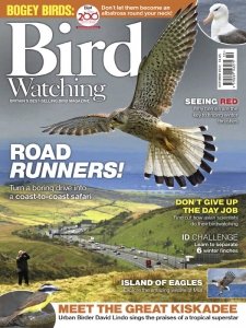 Bird Watching UK - 10.2022