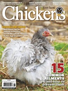 Chickens - 05/06 2024