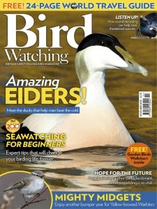 Bird Watching UK - 11.2020