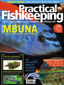 Practical Fishkeeping - 06.2019