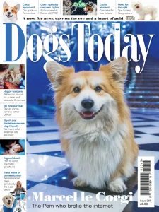 Dogs Today UK - Is. 365 2025