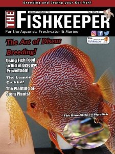 The Fishkeeper - 01/02 2021