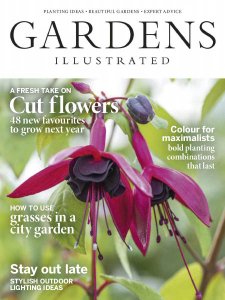 Gardens Illustrated - 11.2018