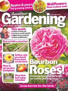 Amateur Gardening - 31.10.2020