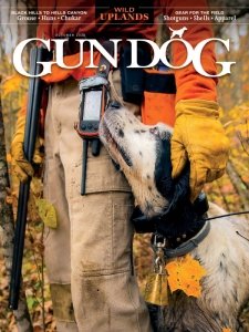 Gun Dog - 10.2022