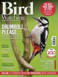 Bird Watching UK - 02.2025