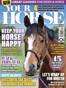 Your Horse - 02.2025