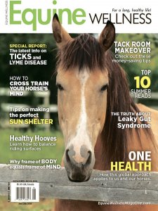 Equine Wellness - 06/07 2018