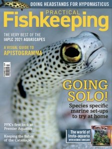 Practical Fishkeeping - 12.2021