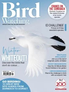 Bird Watching UK - 01.2025