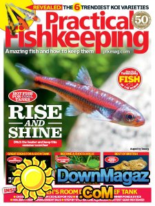 Practical Fishkeeping - 08.2017