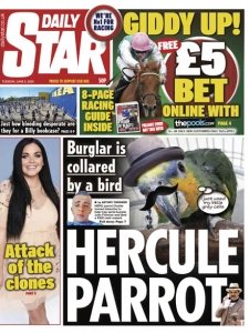 Daily Star – 06.02.2020