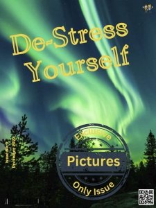 De-Stress Yourself - 12.2022