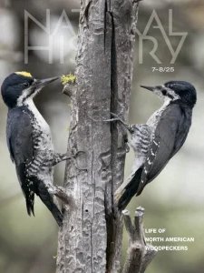 Natural History - 07/08 2025