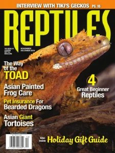 Reptiles - 11/12 2024