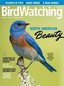 BirdWatching USA - 07/08 2021