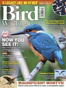 Bird Watching UK - 09.2022