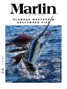 Marlin - 04/05 2019