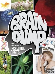 Brain Dump - Is. 24