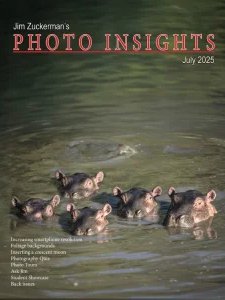 Photo Insights - 07.2025