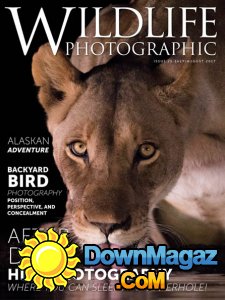 Wildlife Photographic - 07/08 2017