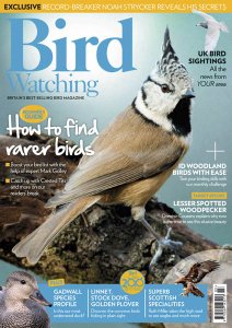 Bird Watching UK - 03.2018