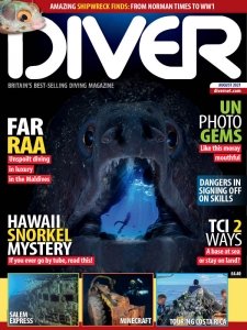 Diver UK - 08.2021