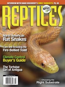 Reptiles - 07/08 2023