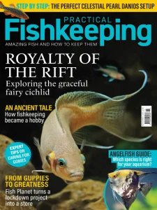 Practical Fishkeeping - 11.2024