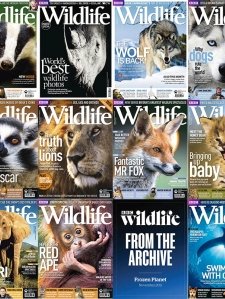 BBC Wildlife - 2011 Full Year