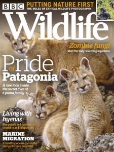 BBC Wildlife - 10.2020